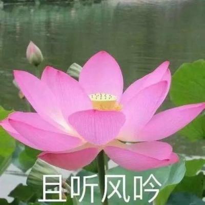【境内疫情观察】广州市5区11个区域解除封闭封控管理措施（6月14日）